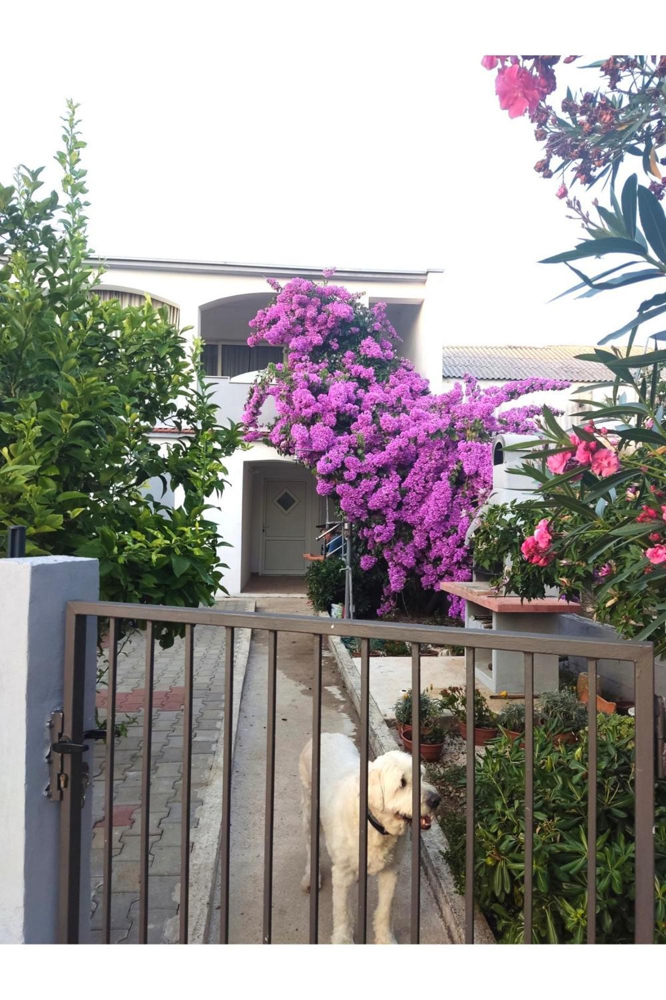 Apartment Flowers 비빈제 외부 사진